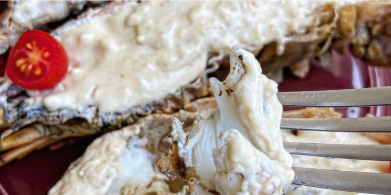 Cavaquinha com molho de alho cremoso