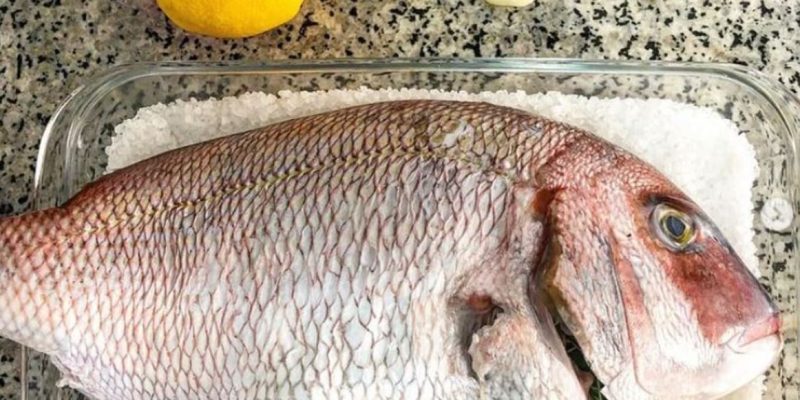 Pargo no Sal grosso